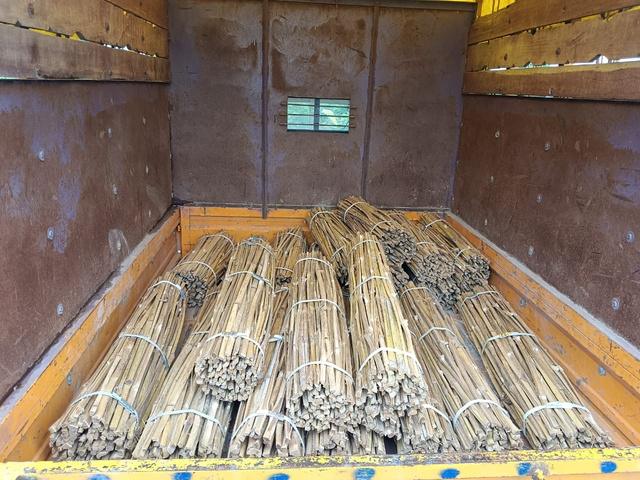 Bundles of bamboo splits ready for dispatch
